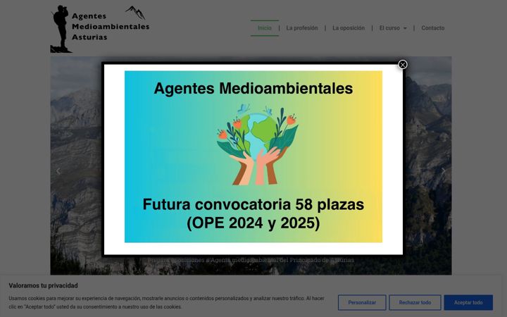 Screenshot of agentesmedioambientalesasturias.com