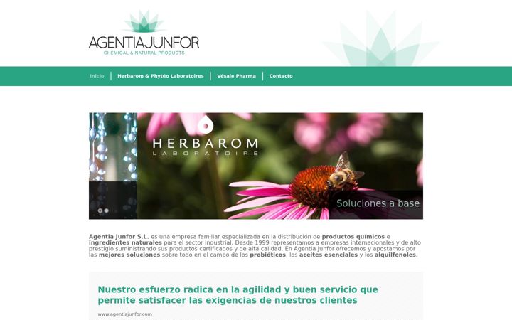 Screenshot of agentiajunfor.com