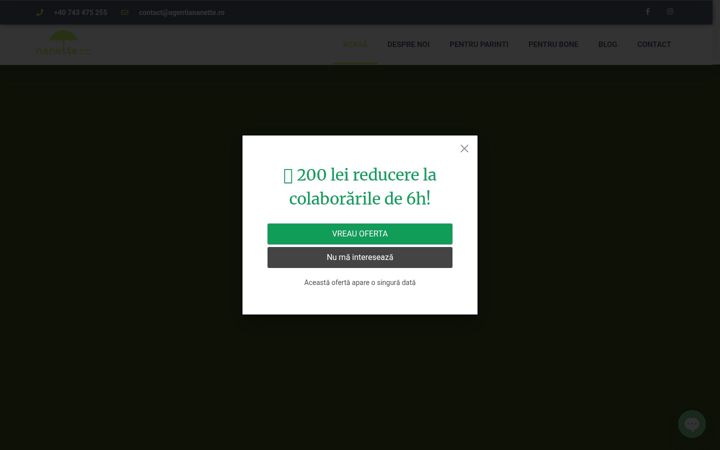 Screenshot ta' agentiananette.ro