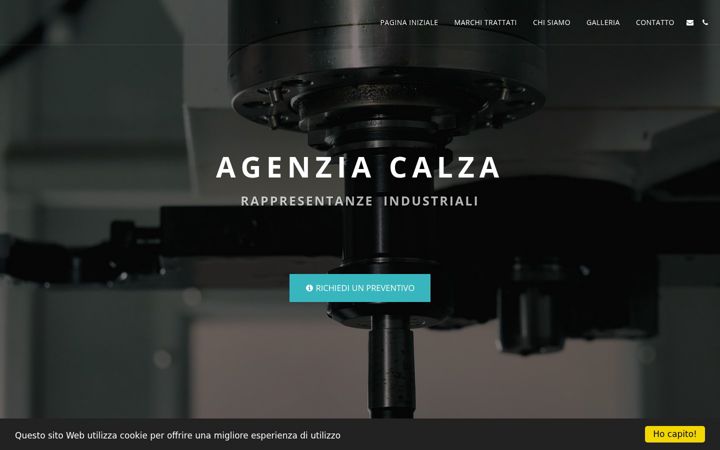 Snímek obrazovky agenziacalza.com