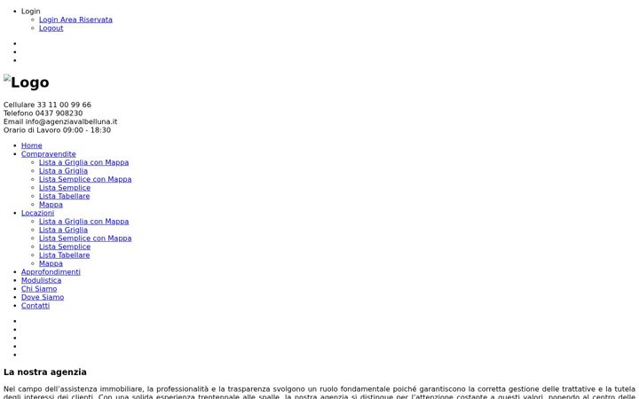 Screenshot von agenziavalbelluna.it