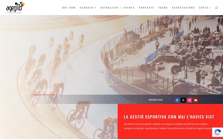 Screenshot of agepib.com