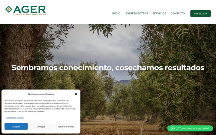 Screenshot of agerconsultores.es