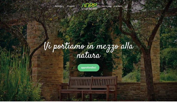 Screenshot of agersnc.com