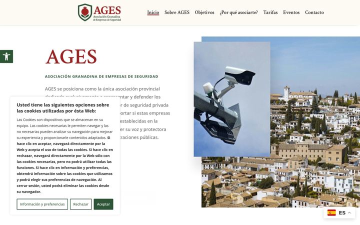 Screenshot of ageseguridad.es