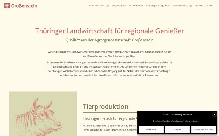 Screenshot of agg-grossenstein.de