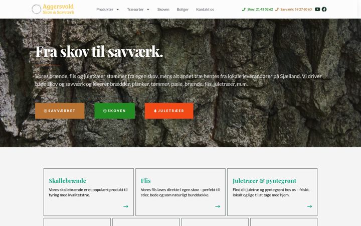 Screenshot von aggersvoldsav.dk