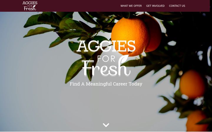 Screenshot von aggiesforfresh.com