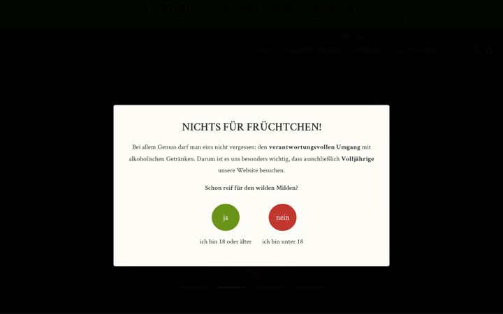 Screenshot of aggstein.co.at