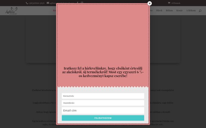 Screenshot of agilanc.hu