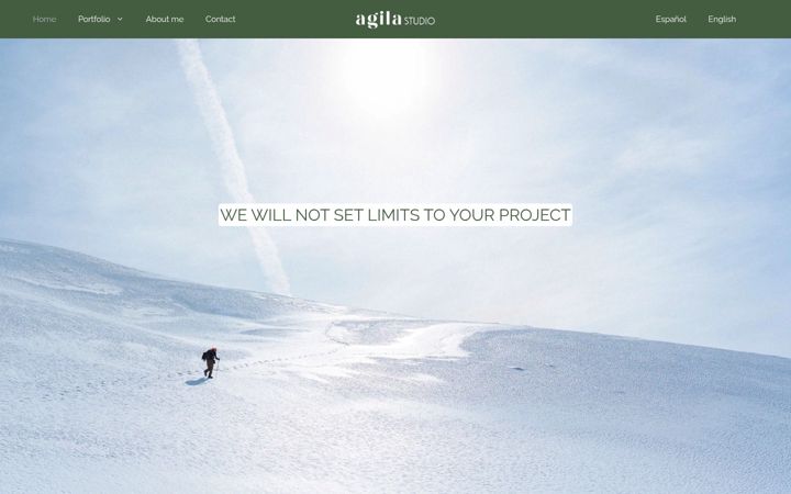 Screenshot of agilastudio.com