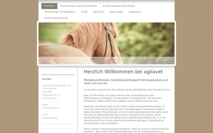 Skærmbillede af agilavet.de