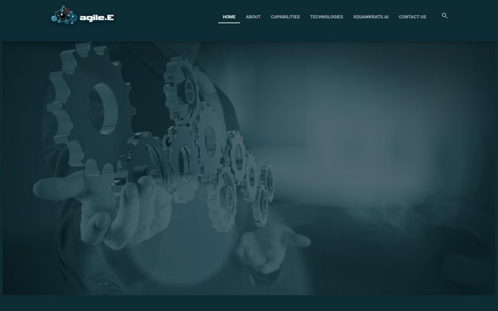 Snímek obrazovky agile-e.com