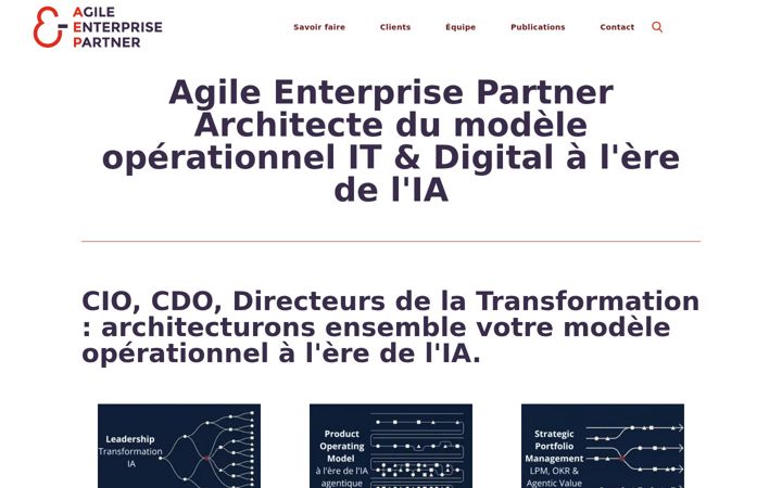 Screenshot ta' agile-enterprise-partner.com