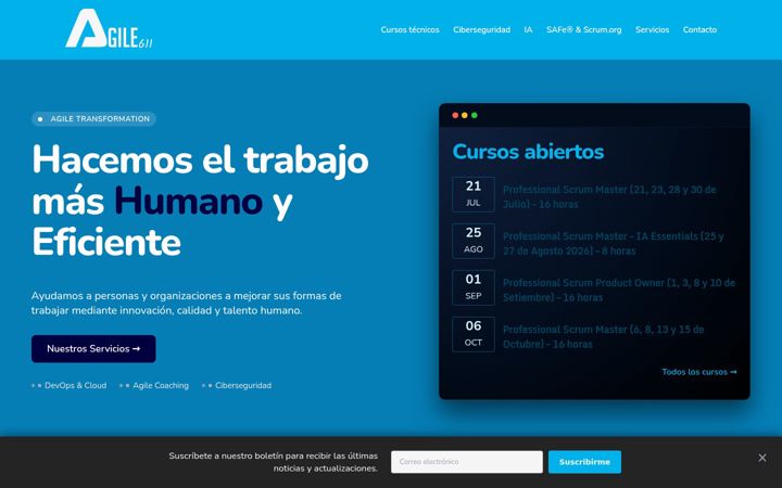 Snímek obrazovky agile611.com