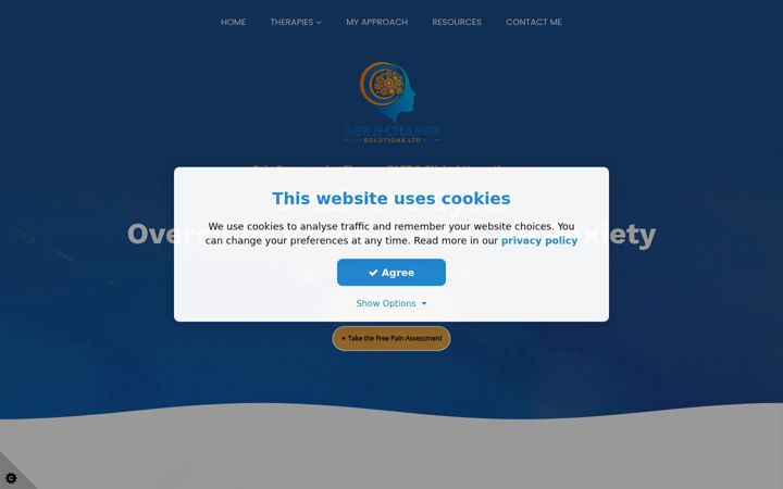 Screenshot of agilechangesolutions.com