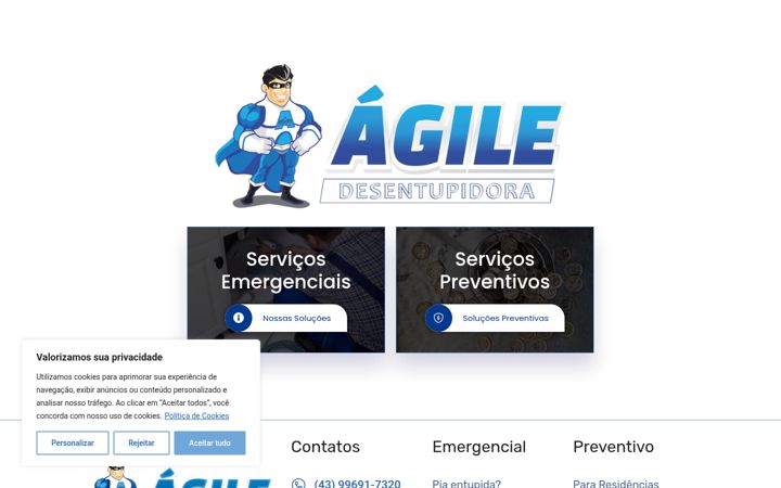 Screenshot of agiledesentupidoralondrina.com.br