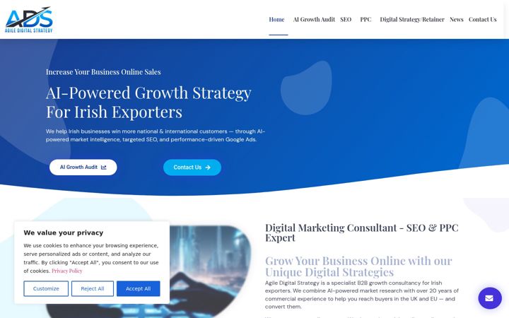 Screenshot of agiledigitalstrategy.com