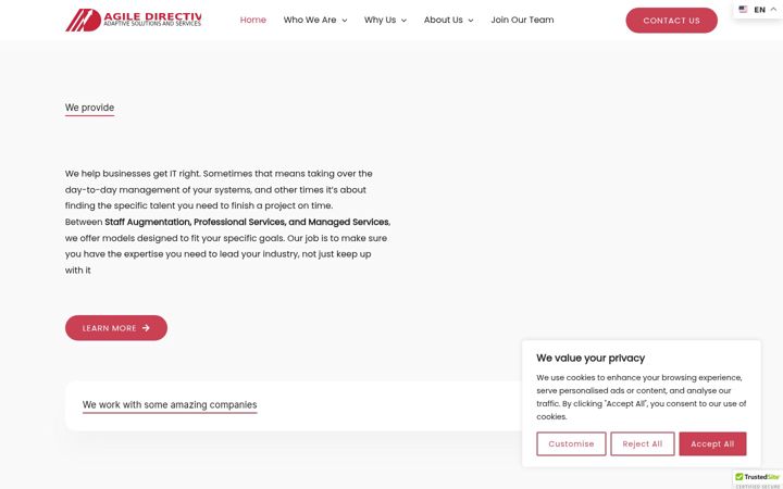 Screenshot of agiledirective.com