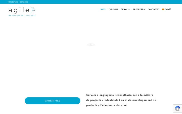 Ekrano kopija agiledp.com