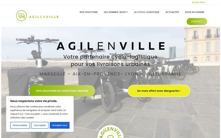 Screenshot of agilenville.com