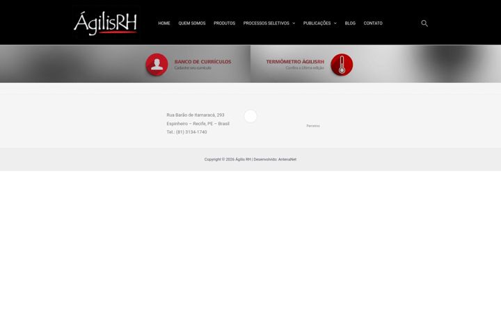 Zrzut ekranu agilis.com.br
