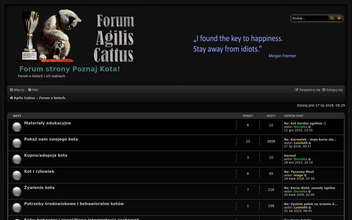 Screenshot of agiliscattus.pl