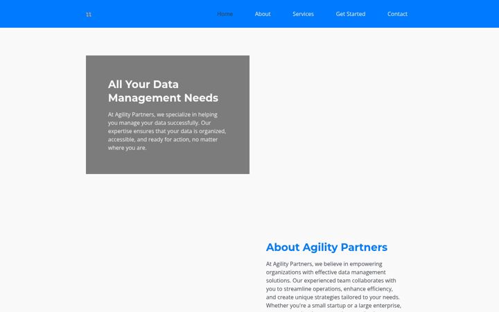 Screenshot of agilitypartners.co.za