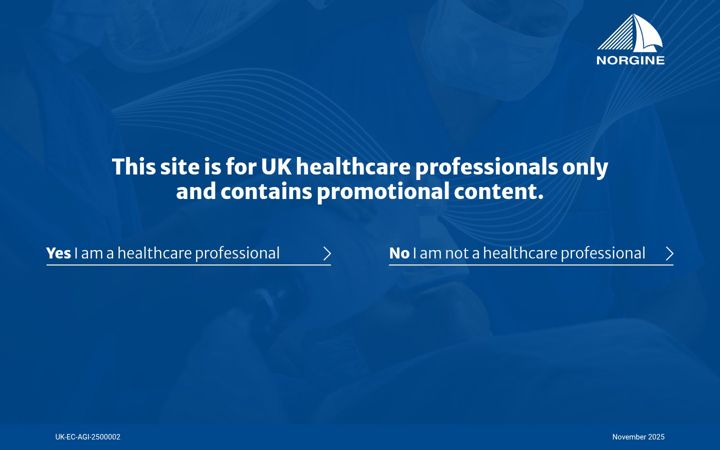 Screenshot of agilusiv.co.uk