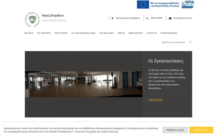 Screenshot of agiospiridon.gr