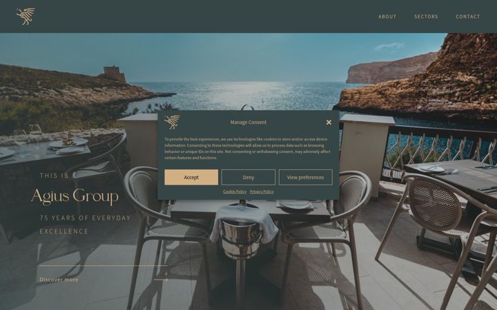 Zrzut ekranu agiusgroup.com