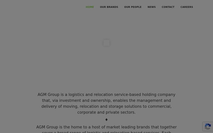 Zrzut ekranu agm.group