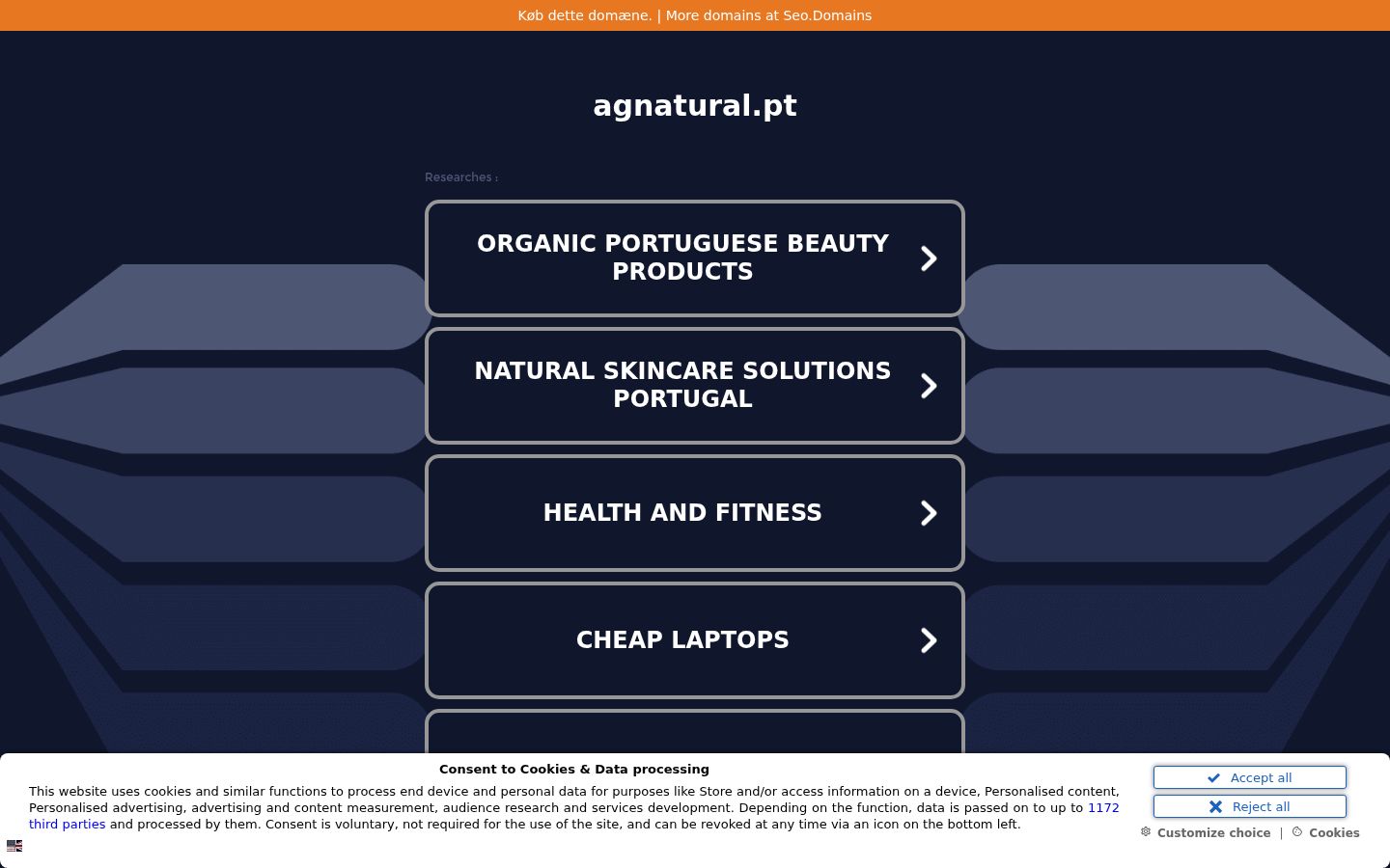Screenshot of the consent banner shown before any interaction