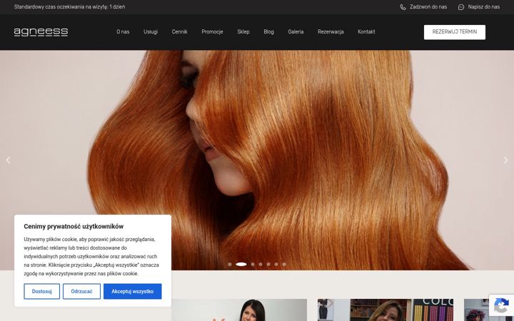 Screenshot of agneess.com