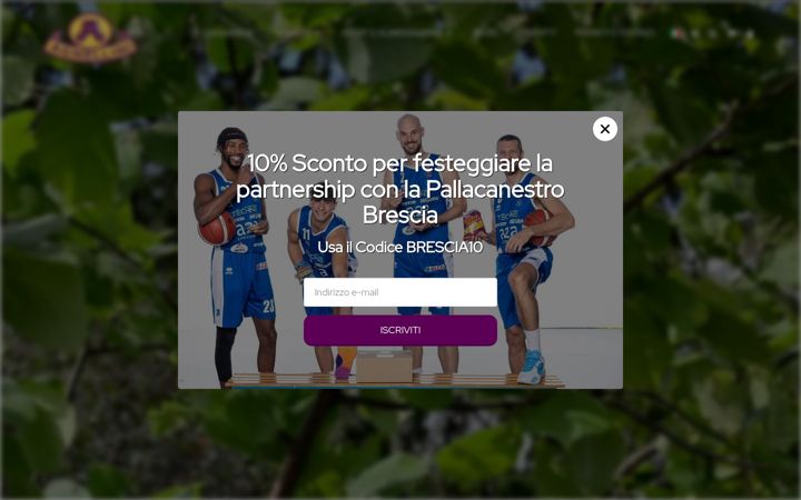 Screenshot di agnellinifruttasecca.it
