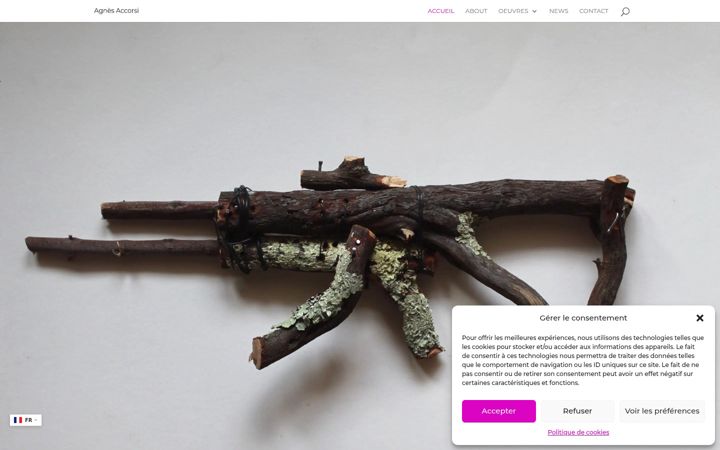 Screenshot von agnes-accorsi.com