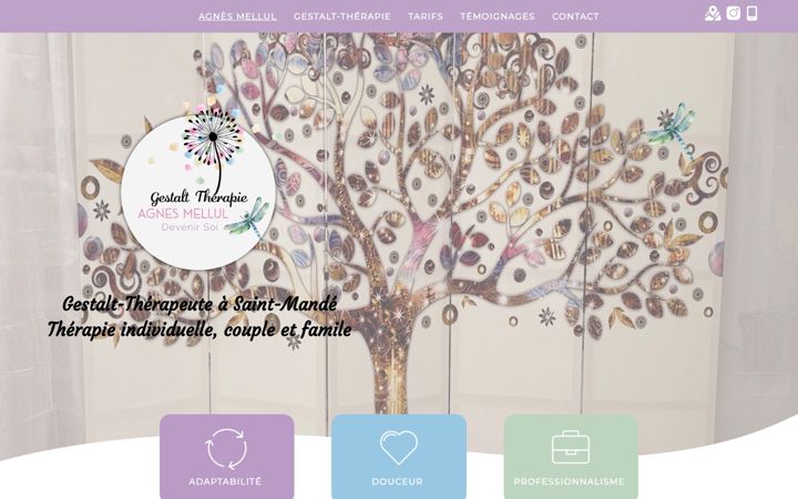 Screenshot of agnes-mellul.fr