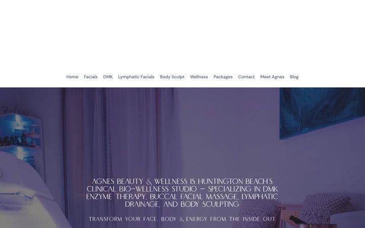 Screenshot of agnesbeautywellness.com