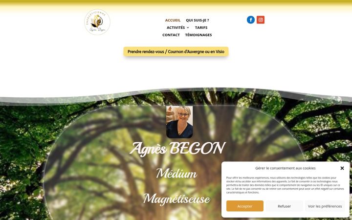 Screenshot of agnesbegon.fr