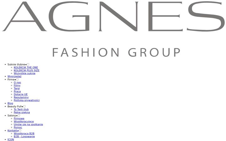 Screenshot of agnesgroup.pl