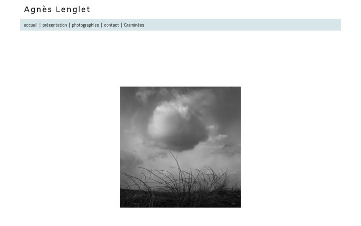 Screenshot of agneslenglet.com