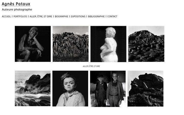 Screenshot of agnespataux.com