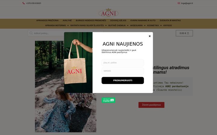 Screenshot stránky agni.lt