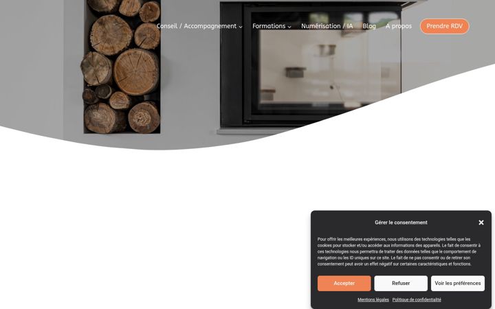 Screenshot of agniconsult.com