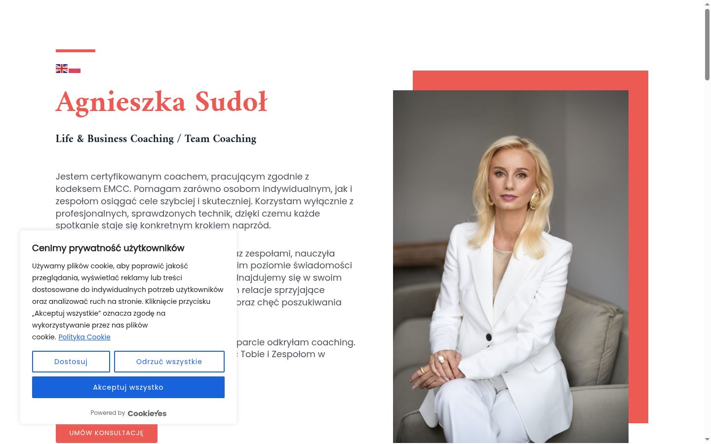 Sutikimo reklamjuostės, rodytos prieš bet kokią sąveiką, ekrano kopija
