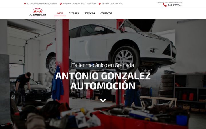 Screenshot of agonzalezautomocion.es