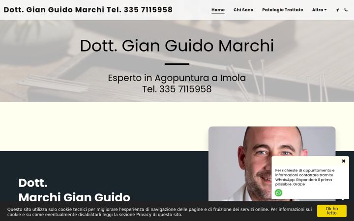 Screenshot of agopunturaimola.com