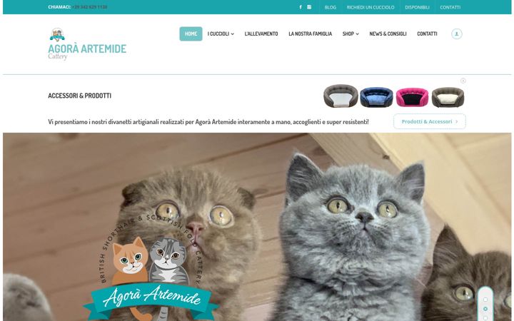 Screenshot von agora-artemide.com