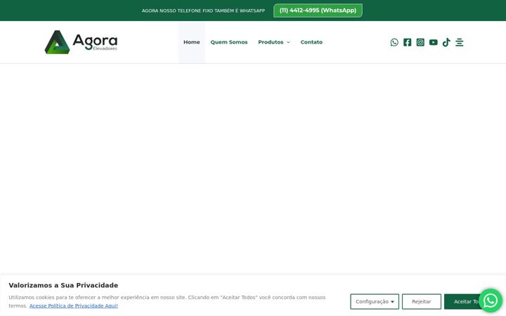 Screenshot of agoraelevadores.com.br