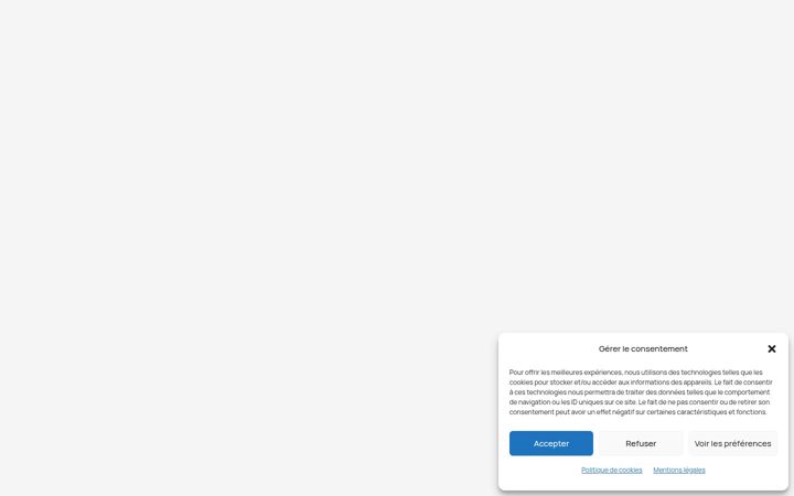 Screenshot ta' agpi-peinture.com